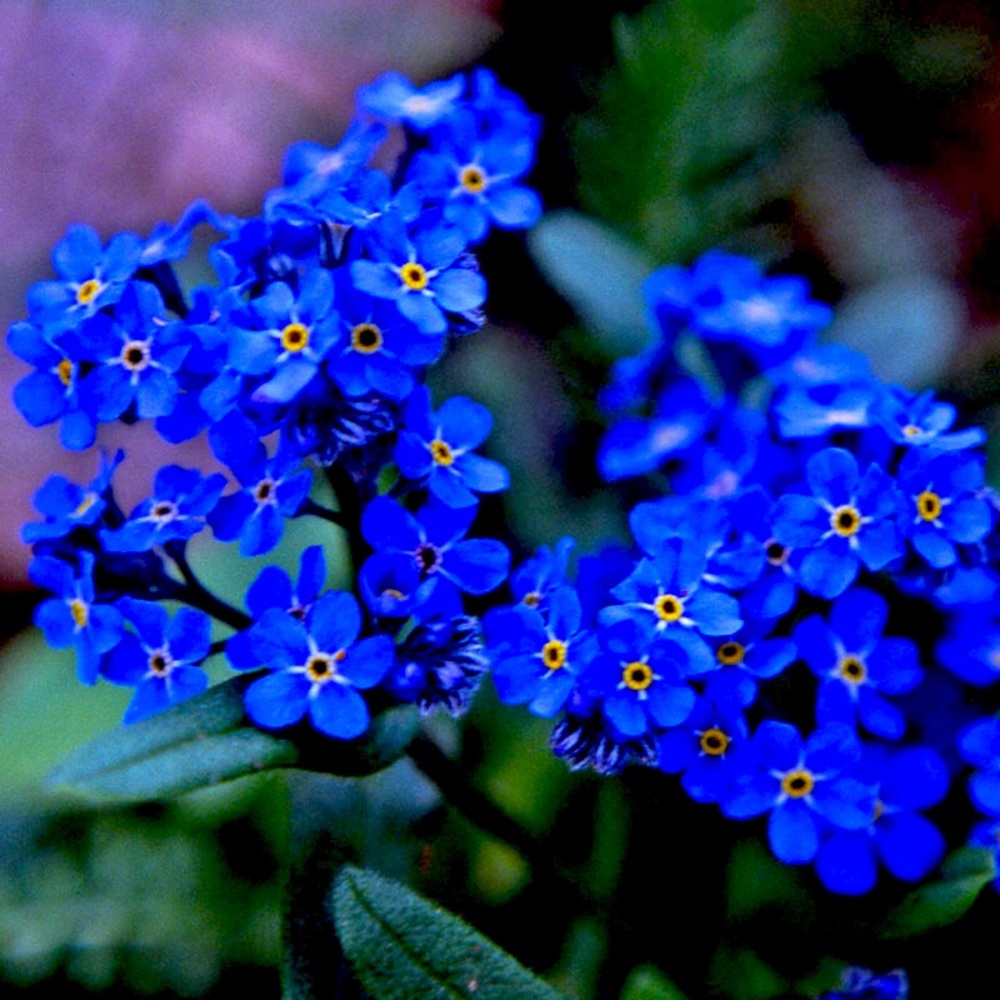 Meet your Posher, Bethany